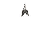 Silver Wings Charm image 0