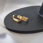 Aimee Stainless Steel Earrings image 0