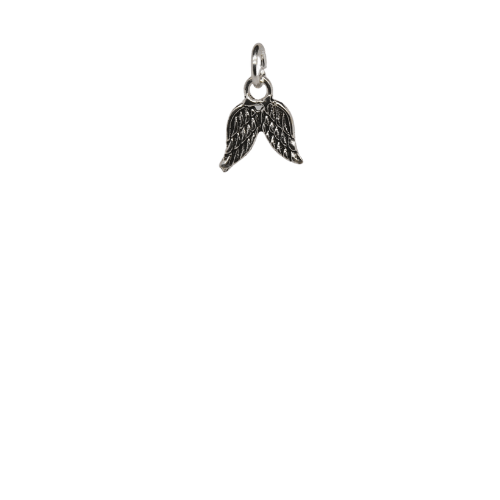 Silver Wings Charm image 0