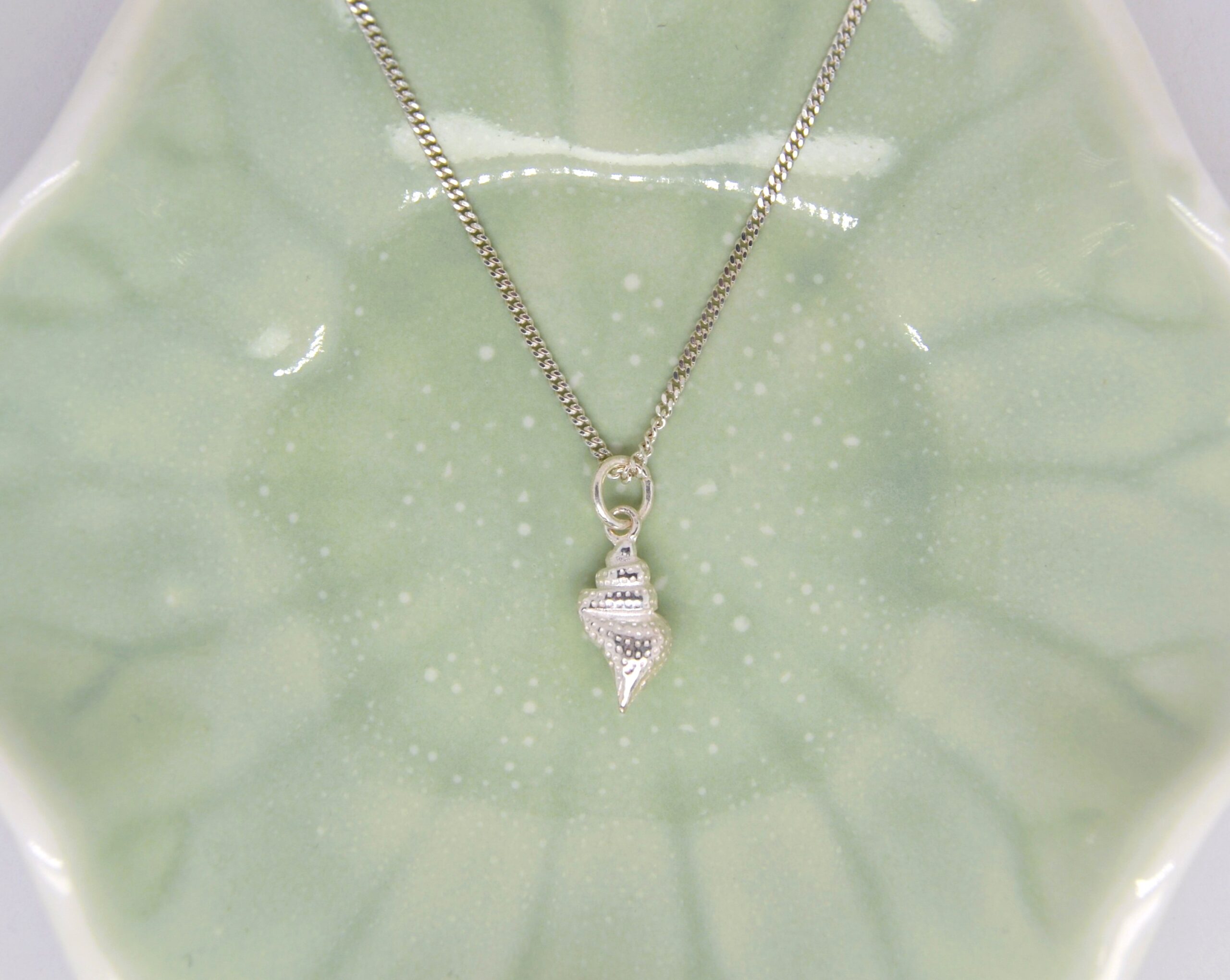 Silver Textured Shell Necklace image 0