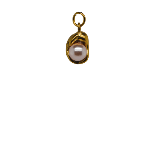 Shell with Pink Pearl image 0