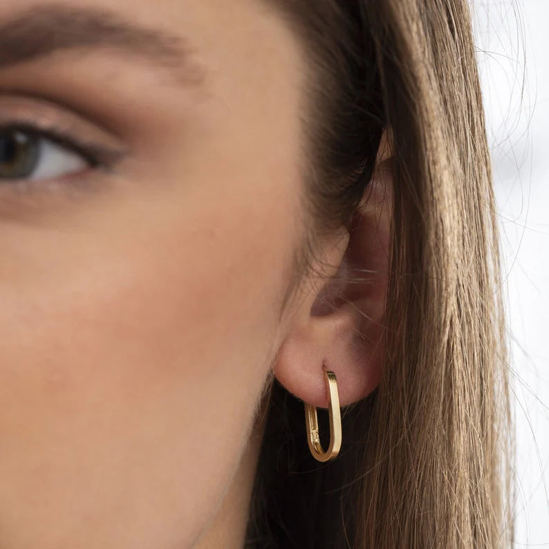 The True hoop Gold Earrings image 1