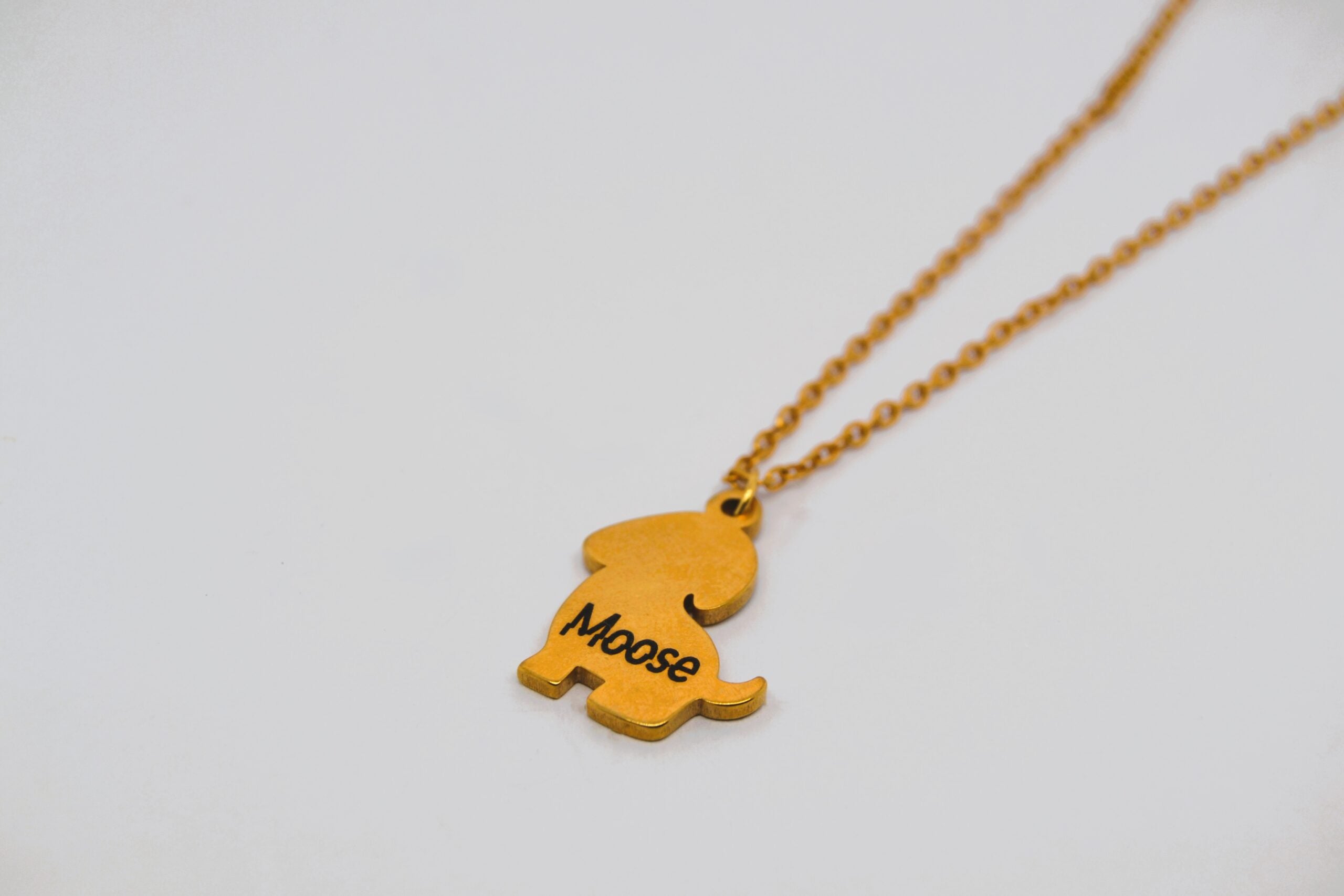 Personalised Dog Necklace image 0
