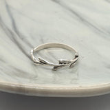 The Nature Ring image 0