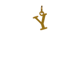Cut-out Initial Y image 0
