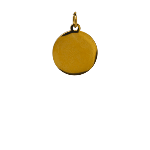 Big Engravable Disk image 0