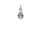 Pear shape Charm