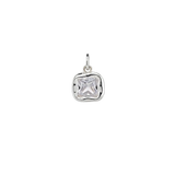 Clear Sculpt Charm