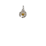 Daisy Charm