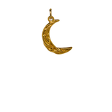 Gold Moon Charm
