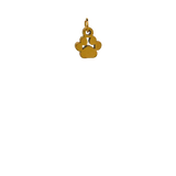 Gold Paw Print