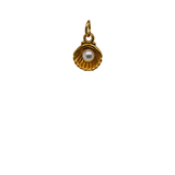 Gold Pearl Sea Shell