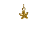 Gold Sea Star