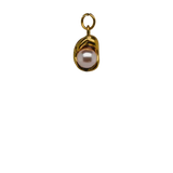 Shell with Pink Pearl