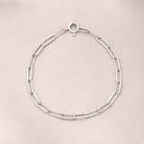 Silver Paperclip chain