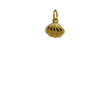 Tiny Gold Shell