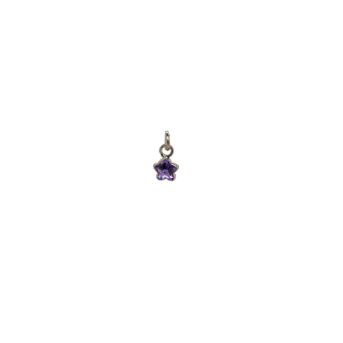 Silver Purple Star Birthstone image 0