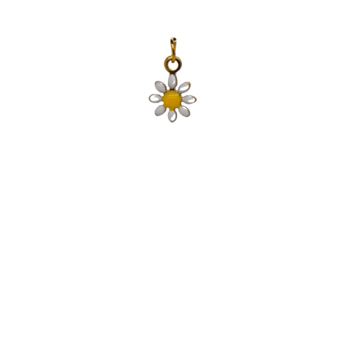 White Small Daisy image 0