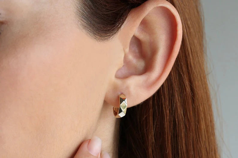 The Gold Standard Gold Earrings image 0
