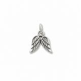 Silver Angel Wings