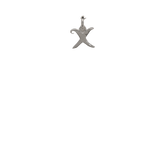 Cursive Initial X image 0