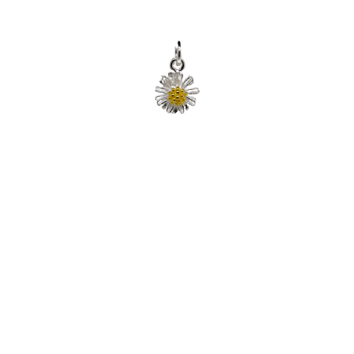 Silver Daisy Charm image 0