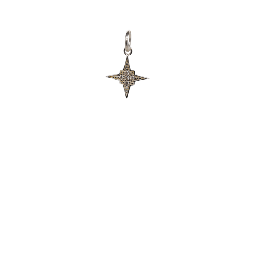 Lucky Star Charm image 0