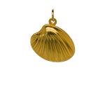 Stainless Steel Shell image 0