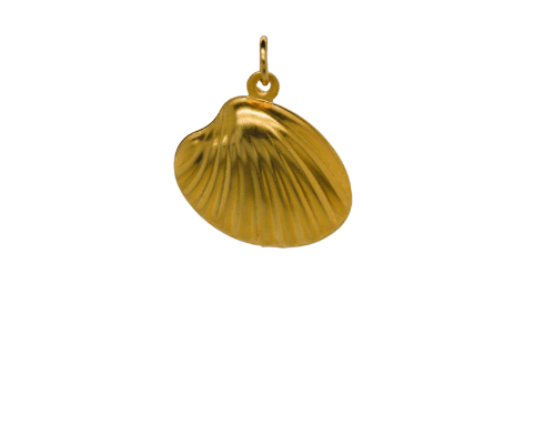 Stainless Steel Shell image 0