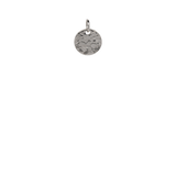 Textured Silver Disk image 0