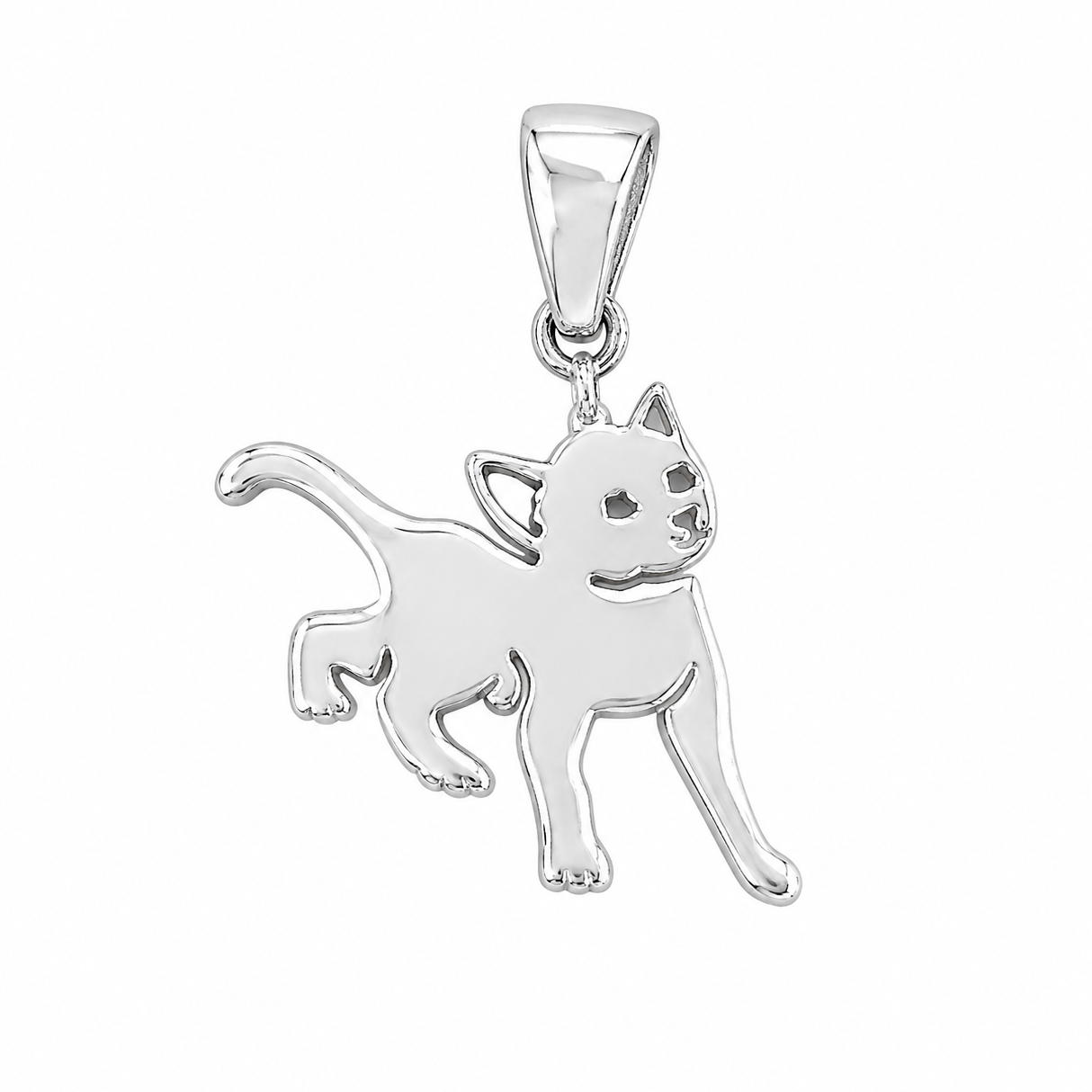 Moving cat Charm