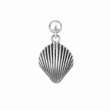 Shell Charm