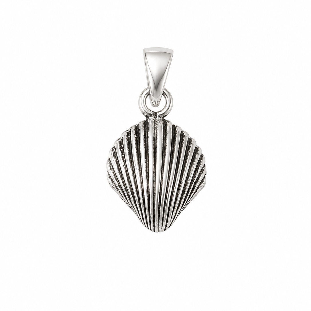 Shell Charm