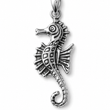 Sea Horse Charm