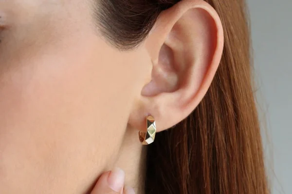 The Gold Standard Gold Earrings