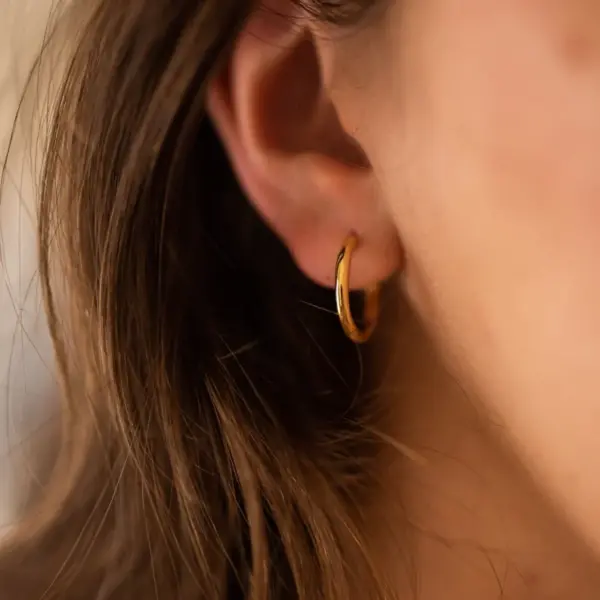 The Hoop Gold Earrings 1