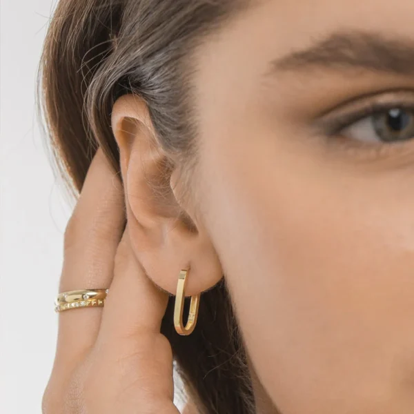 The True hoop Gold Earrings 3