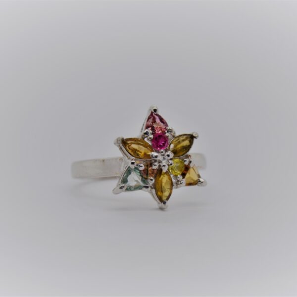 Colour Star Ring